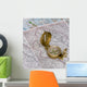 Compass Maps Wall Decal