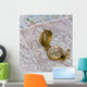 Compass Maps Wall Decal