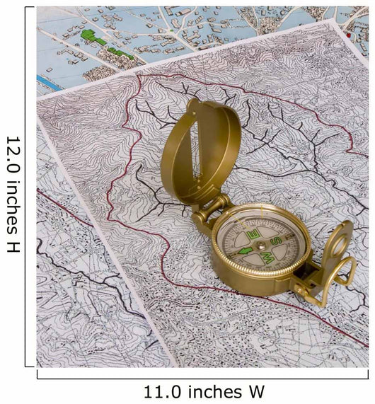 Compass Maps Wall Decal