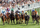Horse Racing 1 Wall Decal