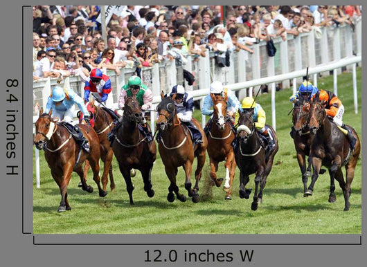 Horse Racing 1 Wall Decal