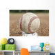 Old Worn Baseball Wall Decal