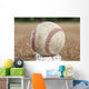 Old Worn Baseball Wall Decal