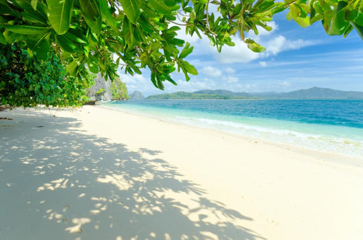 Beach Wall Decal Design 2