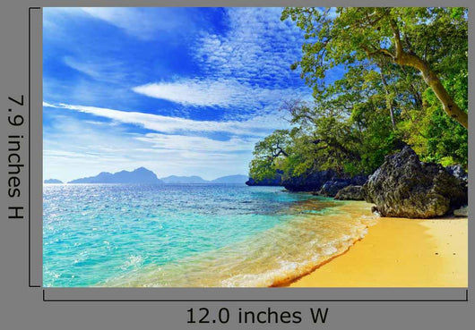 Beach Wall Decal Design 1