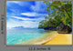 Beach Wall Decal Design 1