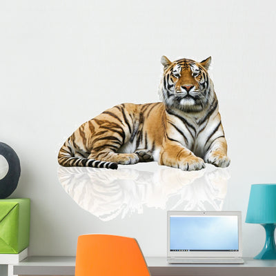 Tiger Wall Decal Design 1 shown on a wall