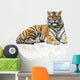 Tiger Wall Decal Design 1