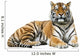 Tiger Wall Decal Design 1