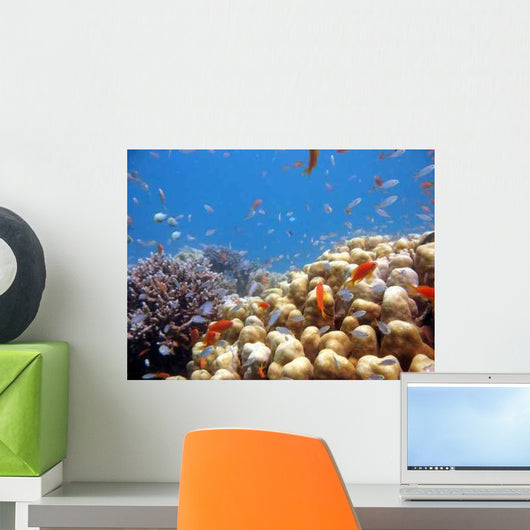 Coral Scene Wall Decal Design 1