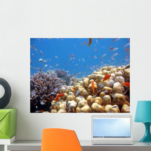Coral Scene Wall Decal Design 1
