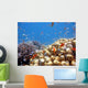 Coral Scene Wall Decal Design 1