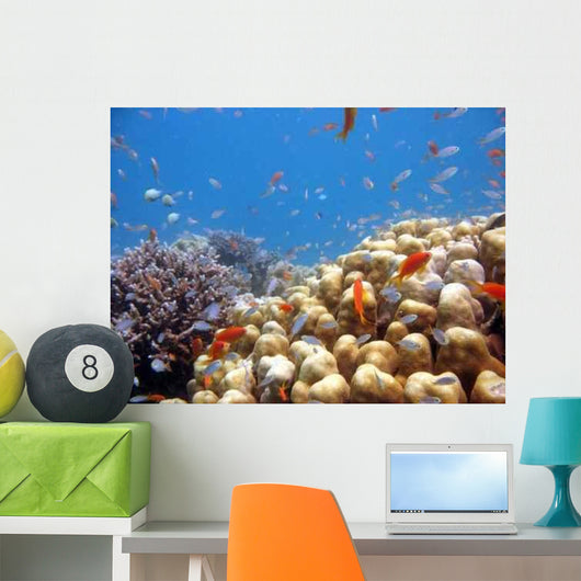 Coral Scene Wall Decal Design 1
