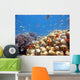 Coral Scene Wall Decal Design 1