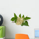 Elder Wall Decal