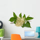 Elder Wall Decal
