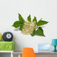 Elder Wall Decal