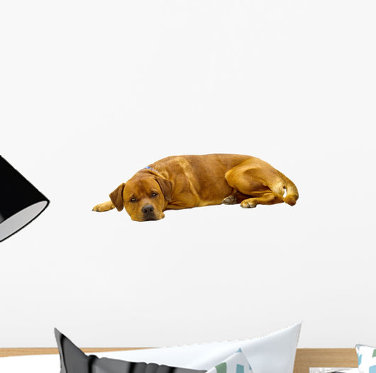Dog Wall Decal Design 1