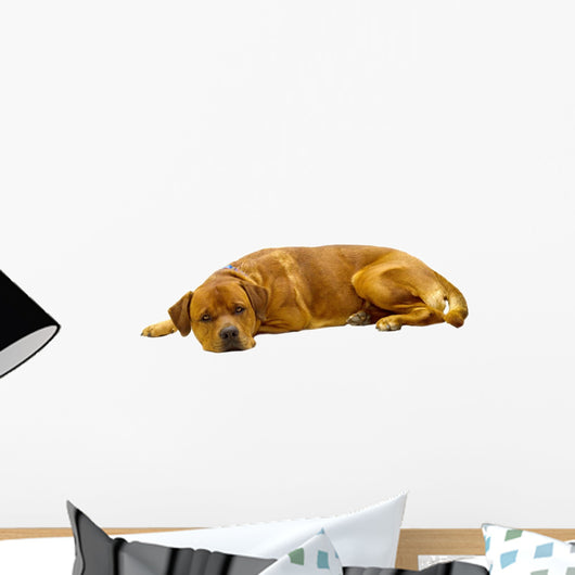 Dog Wall Decal Design 1