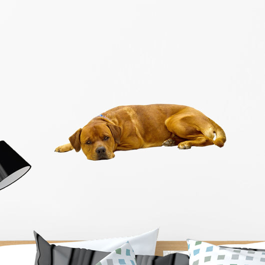 Dog Wall Decal Design 1