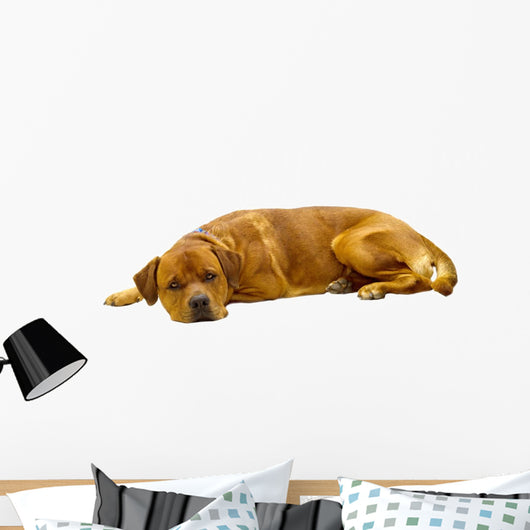 Dog Wall Decal Design 1