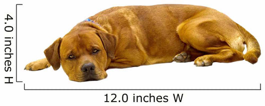 Dog Wall Decal Design 1