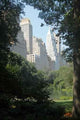 Central Park Wall Decal Design 2