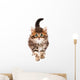 Cute Kitten Wall Decal