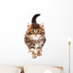 Cute Kitten Wall Decal