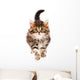 Cute Kitten Wall Decal