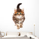 Cute Kitten Wall Decal