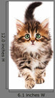 Cute Kitten Wall Decal