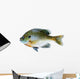 Bluegill Sunfish Lepomis Macrochirus Wall Decal