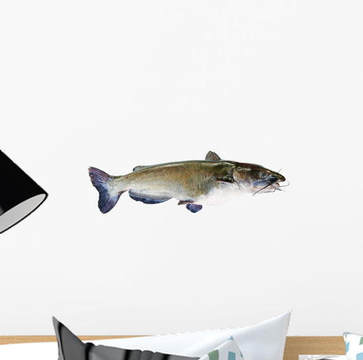 Flathead Catfish White Wall Decal
