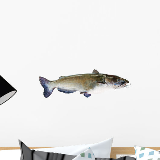 Flathead Catfish White Wall Decal