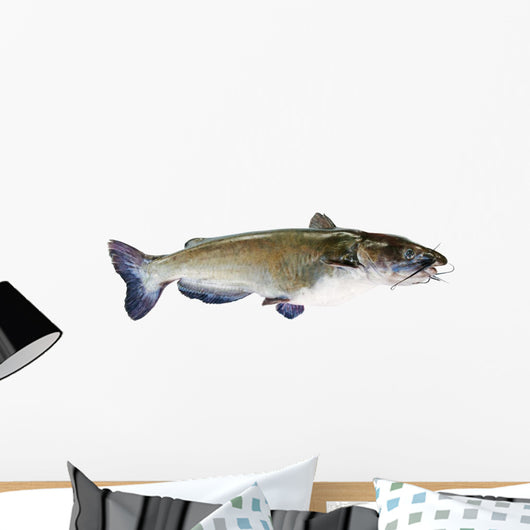 Flathead Catfish White Wall Decal