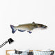 Flathead Catfish White Wall Decal