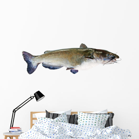 Flathead Catfish White Wall Decal