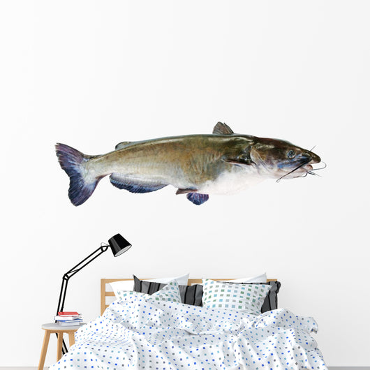 Flathead Catfish White Wall Decal