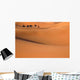 Camel Caravan Sahara Desert Wall Decal Design 1