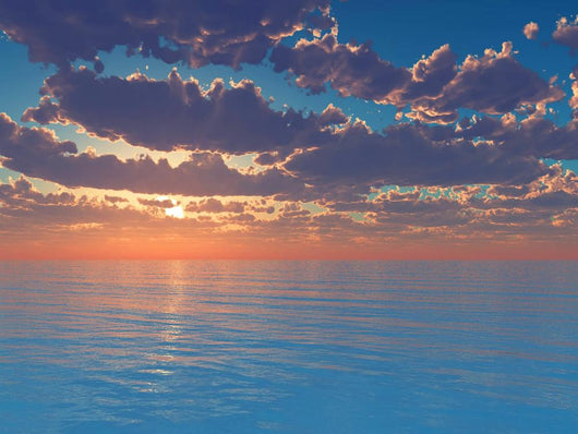 Landscape Wall Decal Design 3