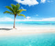Palm Island Wall Decal