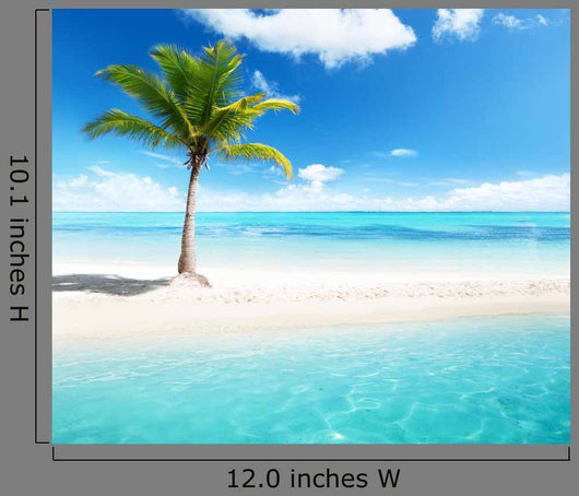 Palm Island Wall Decal