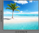 Palm Island Wall Decal