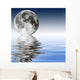 Zen Wall Decal