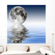 Zen Wall Decal