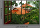 Window Tropics Wall Decal
