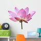 Pink Lotus White Wall Decal