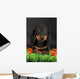 Dachshund Wall Decal
