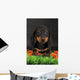 Dachshund Wall Decal